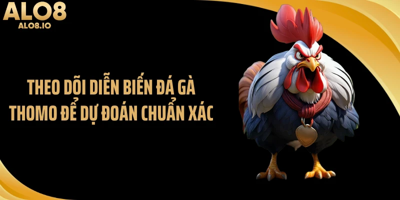 Theo dõi diễn biến đá gà thomo để dự đoán chuẩn xác